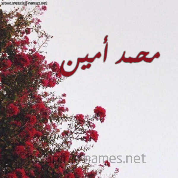 شكل 18 صوره الورد الأحمر للإسم بخط رقعة صورة اسم محمد أمين Mhmd-Amyn